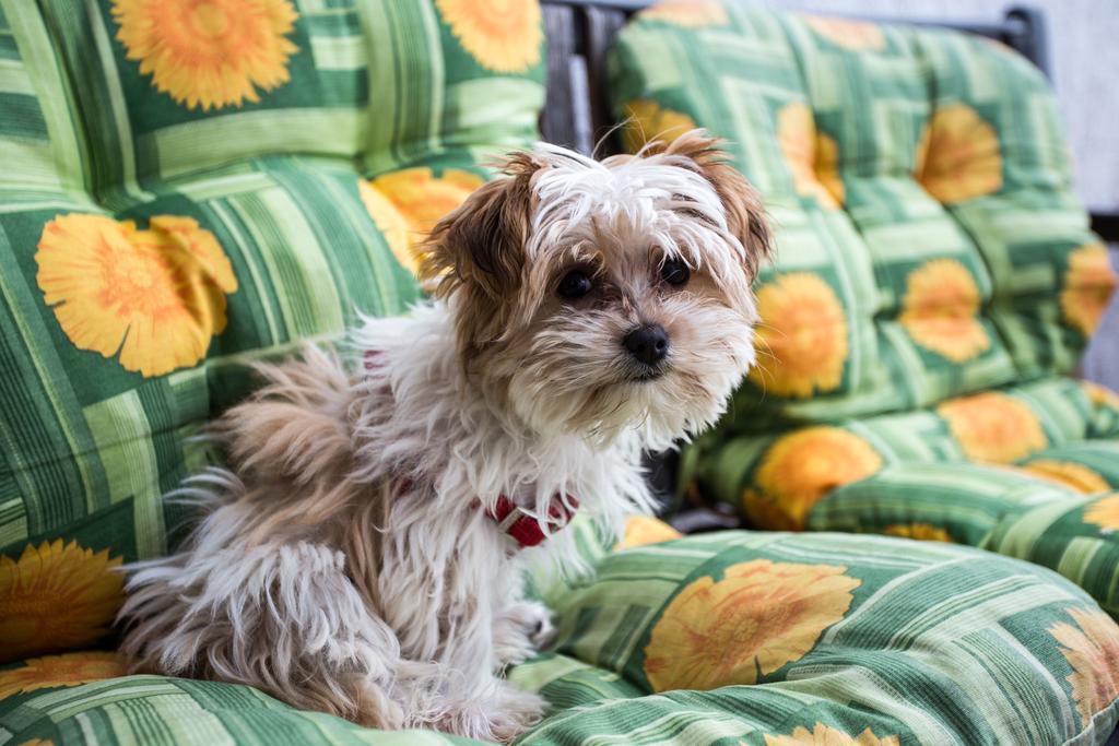 Apartment Beaches & Park Marjan スプリト 部屋 写真